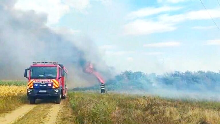 Zi de foc pentru pompieri! Au revenit incendiile de vegetație în Dâmbovița. Trei intervenții în doar câteva și o suprafață de aproape 2 hectare distrusă de flăcări