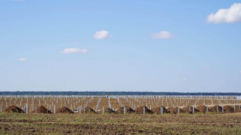 300.000 de panouri fotovoltaice la Cornățelu! Cel mai mare proiect verde al ENGIE România se construiește în Dâmbovița