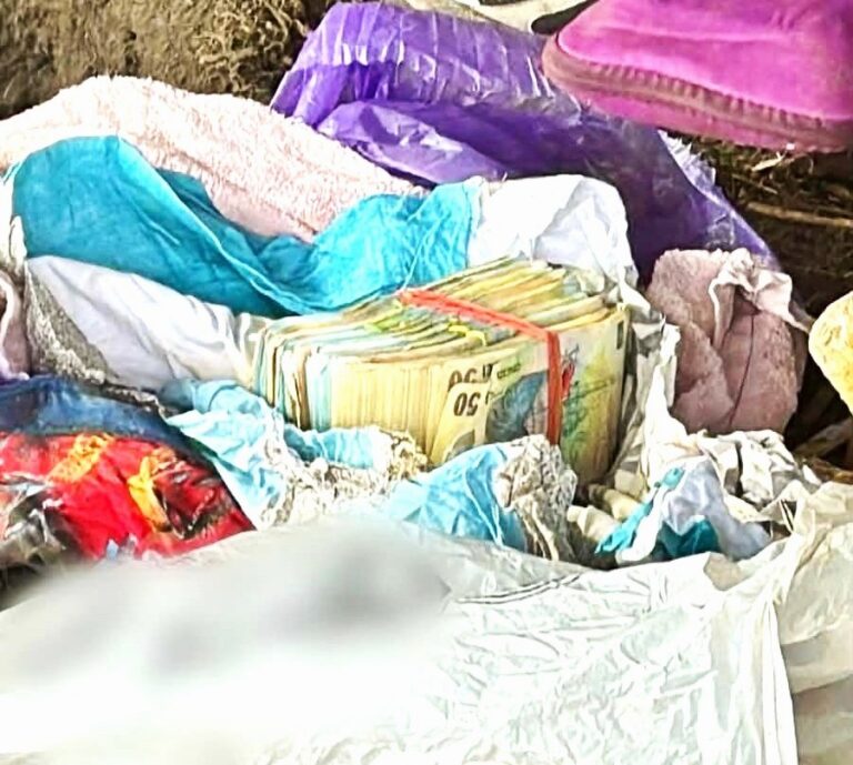 Cămătărie cu bani ascunși sub pământ în Dâmbovița! Un bărbat de 57 de ani a fost arestat preventiv