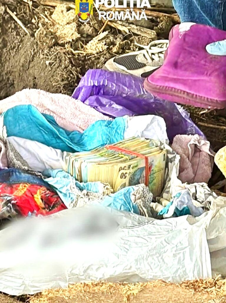 Banii din camătă, îngropați în curte! Polițiștii au găsit aproape 200.000 de lei în urma unor percheziții efectuate în Dâmbovița