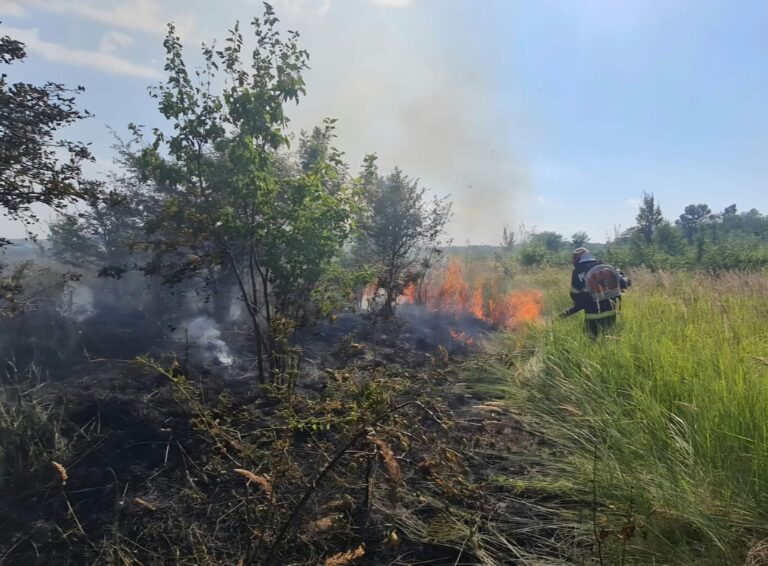 6 hectare de vegetație uscată, mistuite de flăcări la Băleni! Început de săptămână în forță pentru pompierii dâmbovițeni