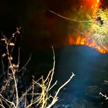 Incendiu puternic de vegetație și litieră forestieră în Dâmbovița! Pompierii din două județe, mobilizați pentru stingerea flăcărilor uriașe Focul a afectat o suprafață de 5000 de metri
