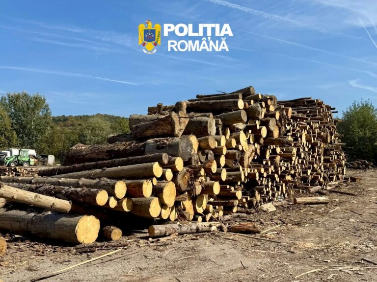 Control cu nereguli în domeniul silvic la Fieni!16 metri cubi de lemn, descoperiți în urma unei acțiuni a Gărzii Forestiere. Amendă usturătoare și ridicarea materialului lemnos