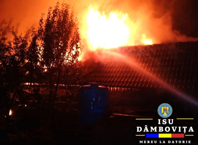 Incendiu de amploare la Crevedia vineri seara! Flăcările au mistuit mai multe anexe gospodărești. S-a intervenit cu patru autospeciale de stingere a focului