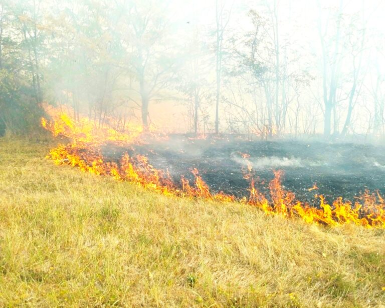 12 hectare de vegetație, mistuite de flăcări la Mija, în Dâmbovița! Pompierii au luptat peste 7 ore pentru lichidarea incendiului