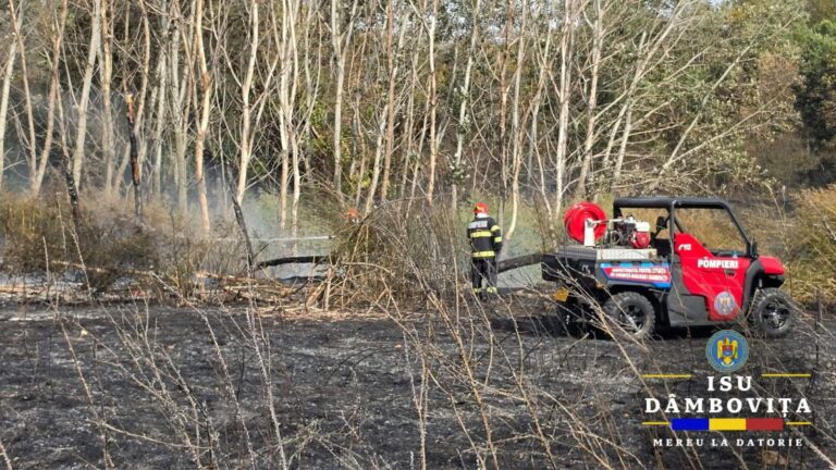 Dezastru în Dâmbovița! Mai multe incendii de vegetație au făcut ravagii pe parcursul zilei de vineri. Flăcările au mistuit și o cultură de porumb