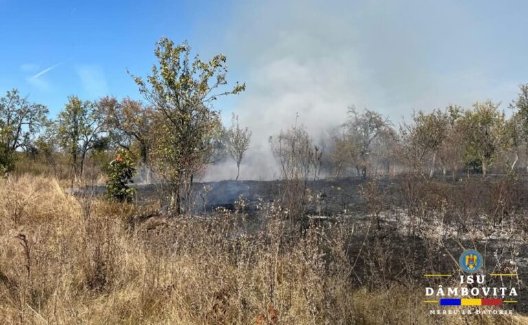 Focul a făcut din nou prăpăd în Dâmbovița! 5 hectare de vegetație, mistuite în doar câteva ore. După izbucnirea primului incendiu a fost emis mesaj Ro-Alert