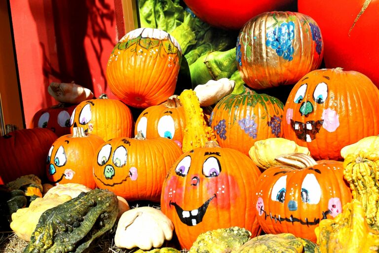 Locul din Târgoviște unde Halloween-ul a venit mai devreme! Dovleci pictați, vrăjitoare și un decor spectaculos te așteptă la aprozarul “La Cici”. Tot aici puteți găsi cele mai gustoase fructe și legume din oraș