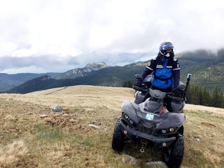 Aproape 400 de misiuni în Bucegi! Jandarmii montani din Dâmbovița au salvat 34 de oameni și au intervenit de 21 de ori în cazuri cu urși